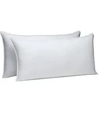 Amazon Basics Down Alternative Pillows Back and Sleepers