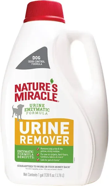 Nature's Miracle Stain and Odor Remover, 1 Gal