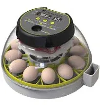 KEBONNIXS 12 Egg Incubator with Humidity Display