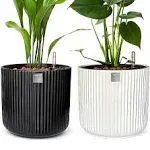  - Ceramic Self-Watering Pots for Indoor Plants (2-Pack) | Water Level 