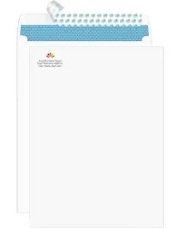 100 9 x 12 SELF Seal Security White Catalog Envelopes - 28lb - Security Tinted,