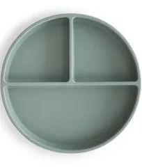 Silicone Suction Plate