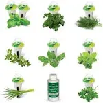 AeroGarden Gourmet Herb Seed Pod Kit