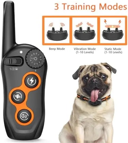 Dog Training Collar