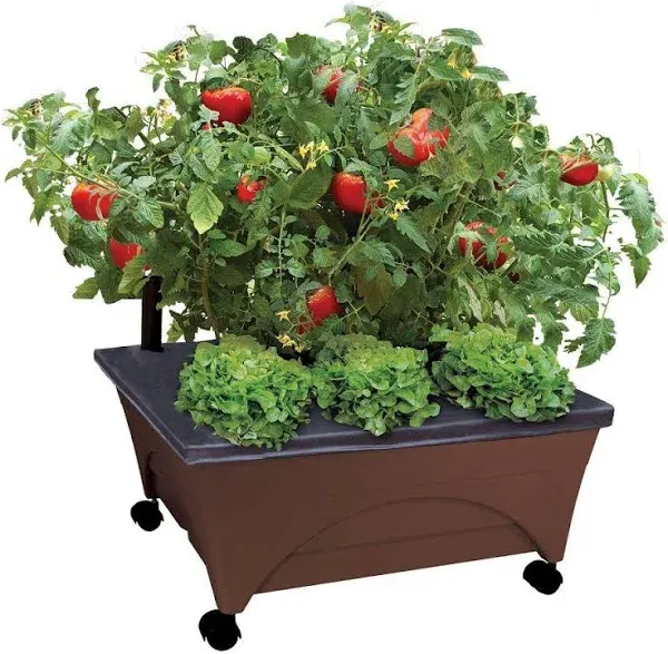 City Picker 2340DW Garden Bed 11" H X 24" W X 20" D Resin Charcoal Charcoal