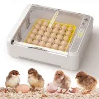 Vinofes Incubators for Chicken Eggs