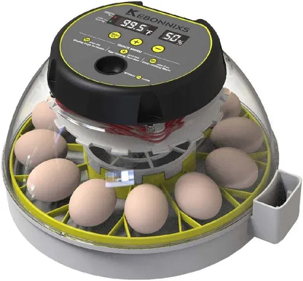 KEBONNIXS 12 Egg Incubator with Humidity Display