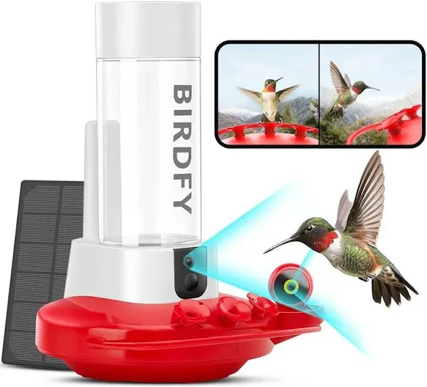 NETVUE Birdfy Hummingbird Feeder with Camera - 2K Dual Smart Cameras, Close-Up