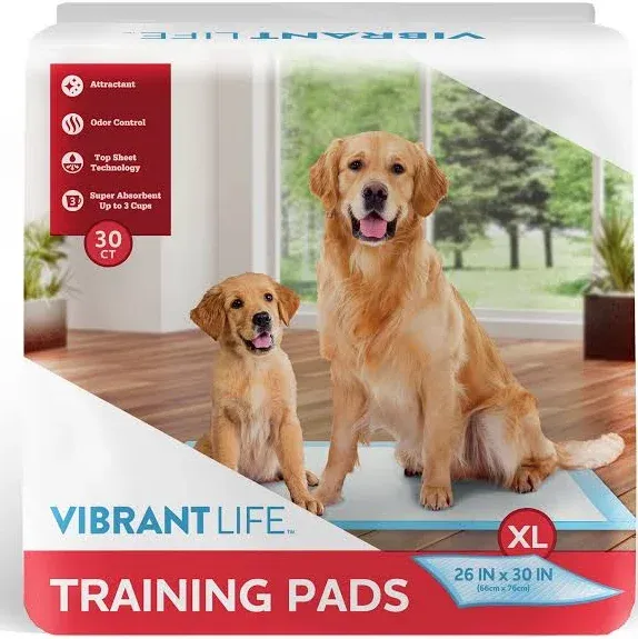 Pet All Star XL Training Pads