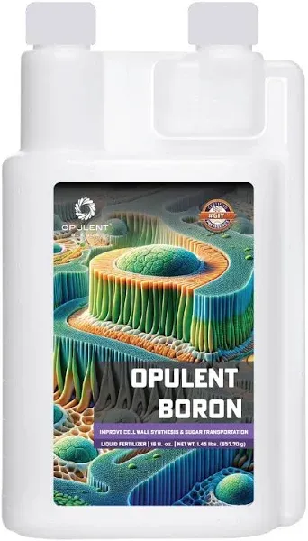 Opulent Boron