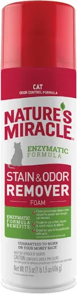 Nature's Miracle Stain & Odor Remover