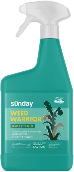 Sunday Weed Warrior Grass Algae Moss  Herbicidal Soap ,  32 fl oz 