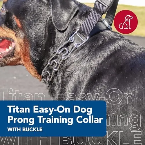 Titan Easy On Prong Training Collar 14 inch