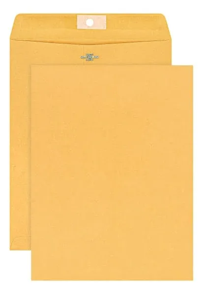 9 X 12 Clasp Envelopes, Deeply Gummed Flaps for Permanent Secure Seal, 28 Lb. Br