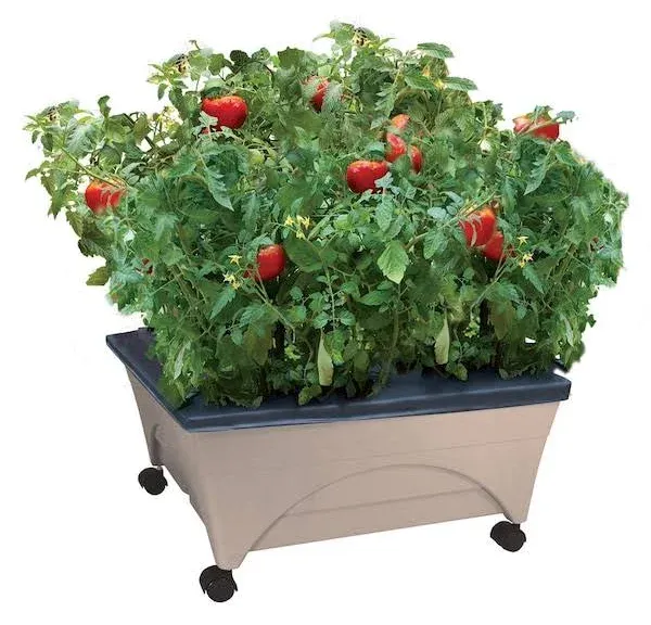 City Picker Raised Bed Grow Box, Cobalt Blue, Self-Watering, Mobile