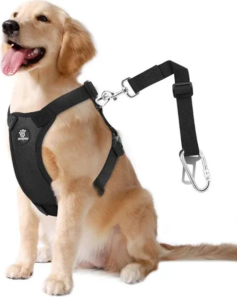 Dog Vehicle Safety Vest Harness, Adjustable Soft Large (Pack of 1), Black 