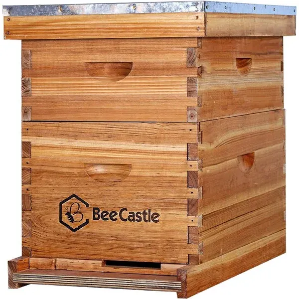 10-Frames Complete Beehive Kit Beehive Frames Beeswax Coated Foundation Sheet