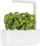 Click & Grow Smart Garden 3 White