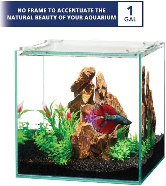 Aqueon Frameless Cube Aquarium