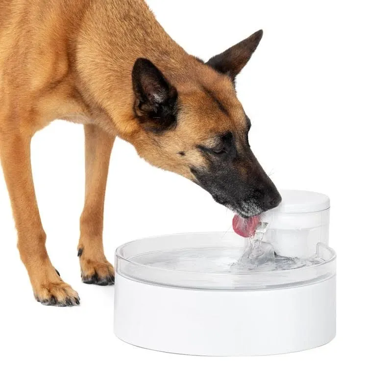 PetSafe Outlast Pumpless Cat Water Fountain