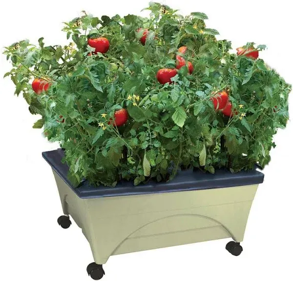 Emsco Group City Picker Self Watering Raised Bed Grow Box - Cobalt Blue