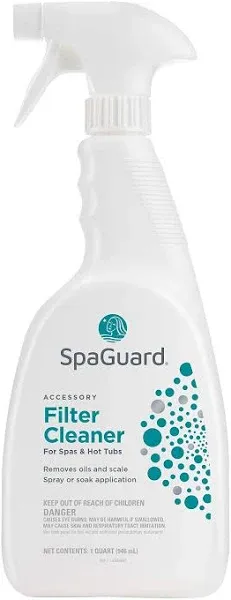 BioGuard SpaGuard Filter Cleaner