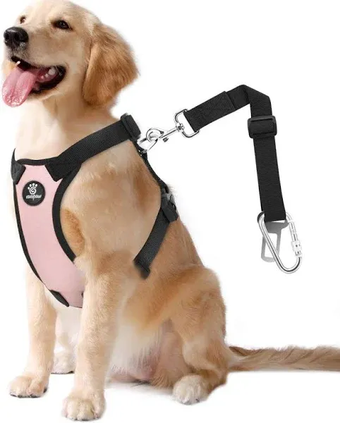 VavoPaw Dog Vehicle Safety Vest Harness