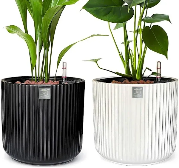 Stylish Self-Watering Ceramic Planter Set