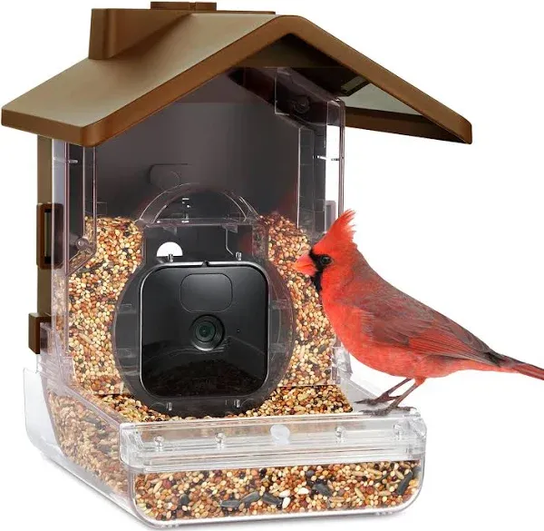 Wasserstein Bird Feeder Camera Case for Blink, Wyze, and Ring