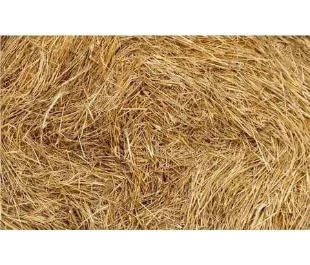 Thunder Acres 100% Natural Wheat Straw