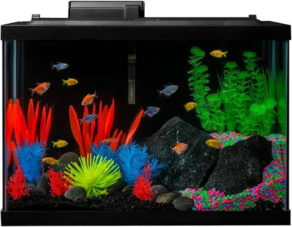 GloFish 20 Gallon Aquarium Kit