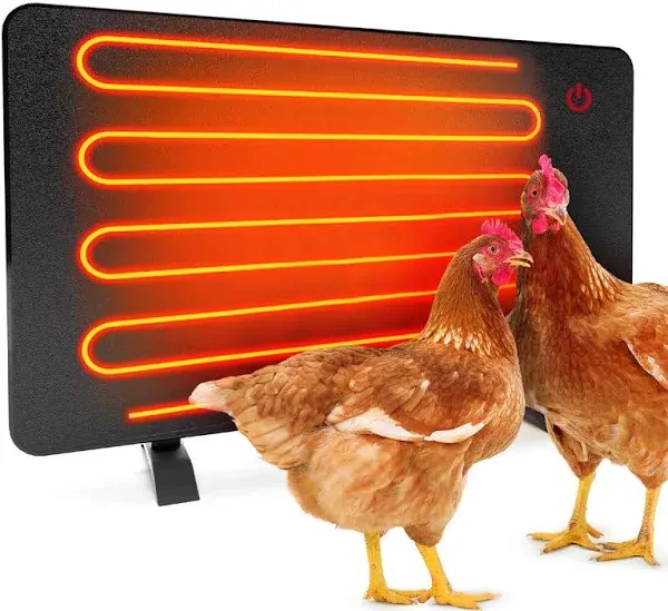 EconoHome Safe Chicken Coop Heater, Safer Than Brooder Lamps, Gently Warm, 150 Watts, ETL Compliant for Safety - Also for Pets and Under Desk