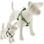 Eco Step in Dog Harness