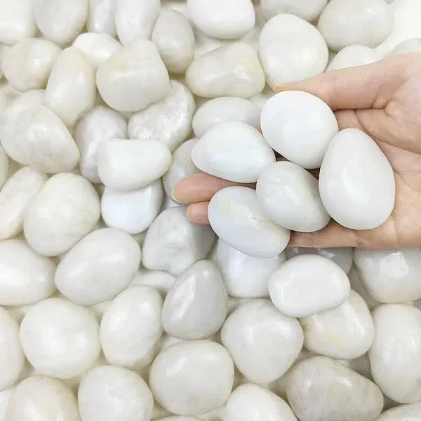 Elegant 1-2 Inch Smooth White Pebbles - Perfect for Indoor Plants &amp; Landscaping