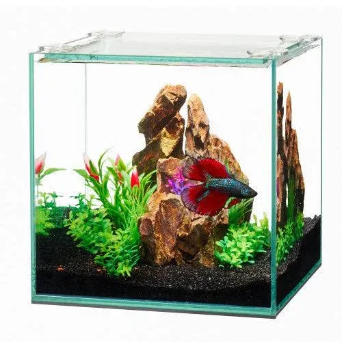 Aqueon Frameless Cube Aquarium