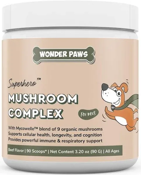 Wonder Paws Organic Mushroom Complex Powder For Pets Cellular Health Longevity Turkey Tail For Dogs Reishi Lions Mane - Buy Healthcare Supplement Mushroom Powder Rich Aroma Reishi Extract Cordycep Extract Immune Boost Vegan
better Focus And Immune Support Digestion Chaga Healthy Substitute Brewed Cacao Drink/prebiotics
premium No Additives Hericium Erinaceus Mushroom Capsule Organic Cordyceps Militaris Extract Medicinal
poroderm-broken Lingzhi Spore Powder Capsule Puppy Kitten Meat Flavour Product on Alibaba.com