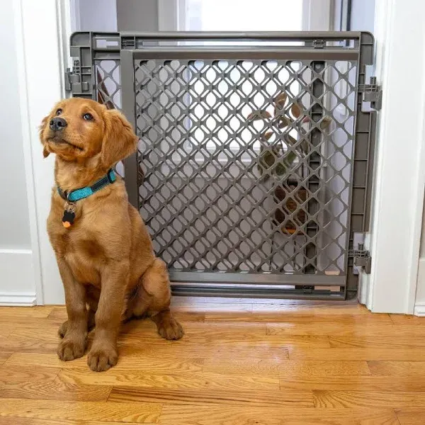 North States MyPet 2-in-1 Easy Swing Petgate: 27"-41" Wide Dog Gate. Safety Latch, Hardware Mount. Pet Gates for Doorways & Stairways. Made in USA. 27" Tall, Light Gray