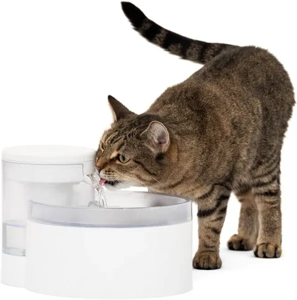 PetSafe® Outlast™ 90 oz Pumpless Pet Fountain - Ultimate Cat Hydration Solution