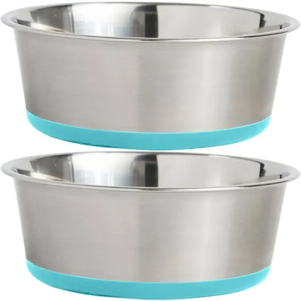 Rust Resistant Pet Bowl Set - 2 Bowls, Quiet, Non-Sliding, 4 Cups, Turquoise