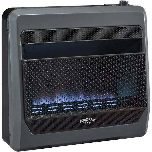 Bluegrass Living Propane Gas Vent Free Blue Flame Gas Space Heater with Blower and Base Feet