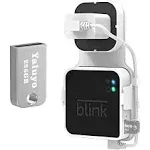 256GB USB Flash Drive and Blink Sync Module 2 Mount Save Space and Easy Mount Bracket for Blink Outdoor Indoor Security Camera