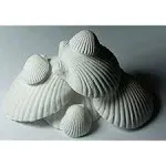 3 Packages WECO Wonder Shell Natural Minerals 3 Pack, Small - Total of 9 Shells