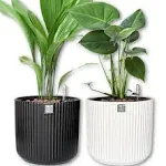 Greenhouse Decorations Ceramic Self-Watering Pots for Indoor Plants (2-Pack) | 9 inch | Water Level Indicator | Practical Hybrid Planter | Hands-Free