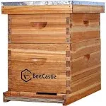 BeeCastle 10-Frames Complete Beehive Kit, 100% Beeswax Coated Bee Hive Includes Beehive Frames and Beeswax Coated Foundation Sheet (2 Layer)