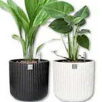 Greenhouse Decorations Ceramic Self-Watering Pots for Indoor Plants