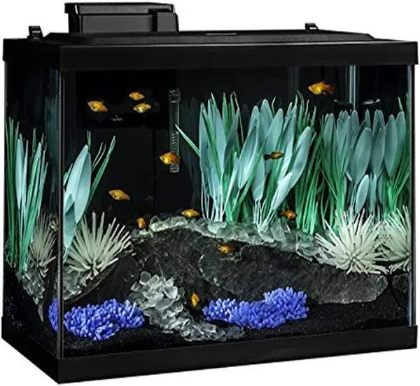 Aquarium, 20 Gallon, Complete Tropical Fish Tank Kit with LED Lighting and Decor