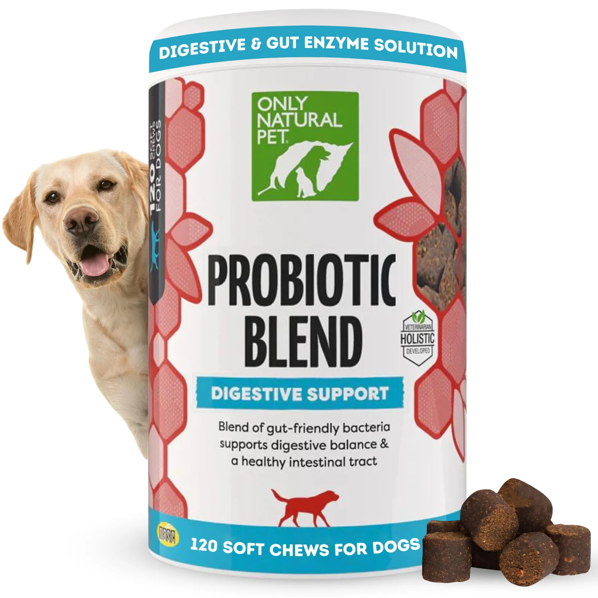 Only Natural Pet Probiotic Digestive