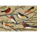 Liora Manne Frontporch Birds Indoor Outdoor Rug, Multi, 2x5 ft