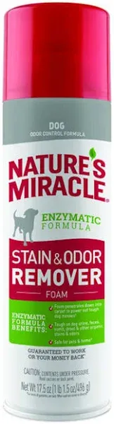 Dogs Stain &amp; Odor Remover, Nature&#039;s Miracle 17.5 Oz P-68340