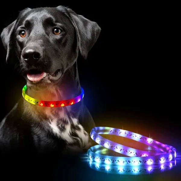 GS GLOWSEEN LED Dog Collar